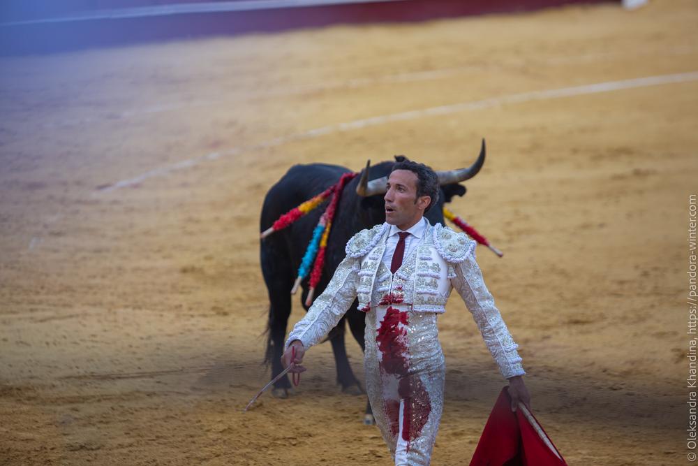 Taurina @ La plaza de La Malagueta, 2025-08-19 