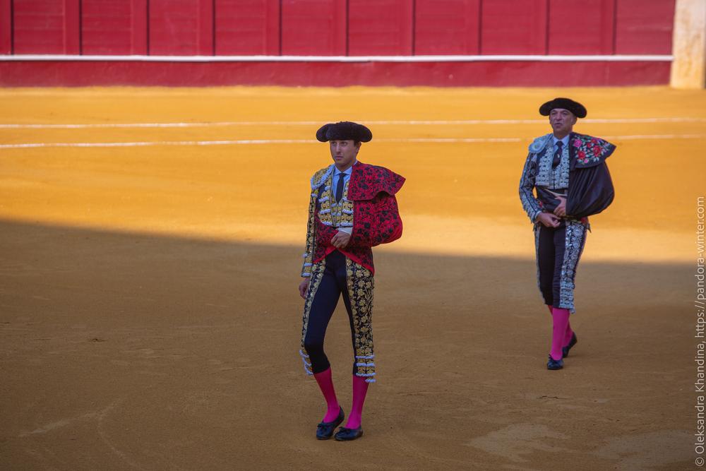 Taurina @ La plaza de La Malagueta, 2025-08-19 