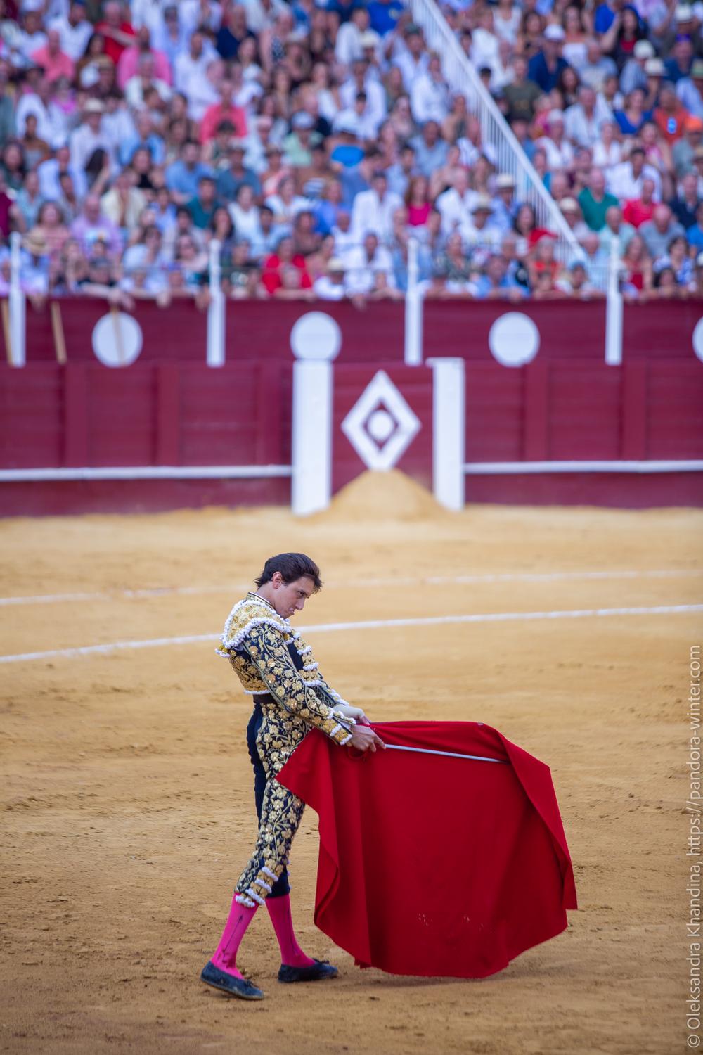 Taurina @ La plaza de La Malagueta, 2025-08-19 