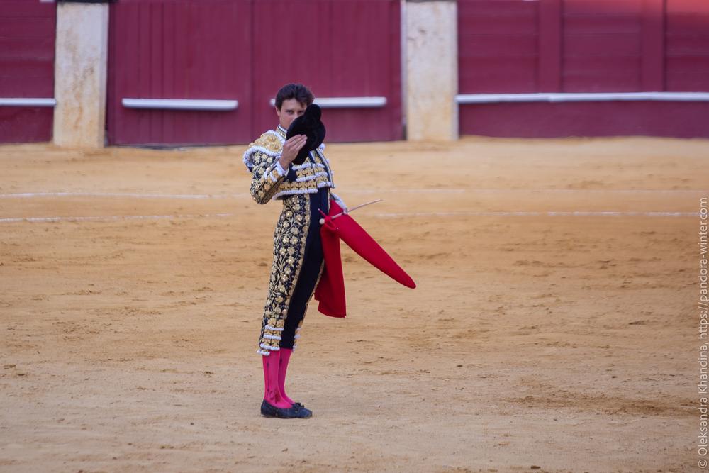 Taurina @ La plaza de La Malagueta, 2025-08-19 