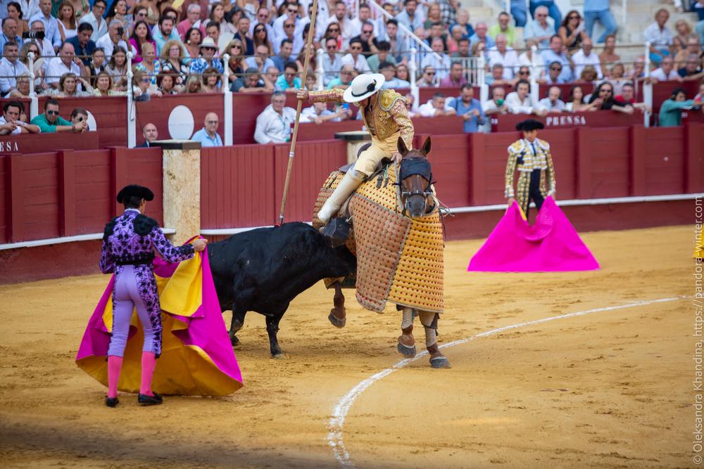 Taurina @ La plaza de La Malagueta, 2025-08-19 