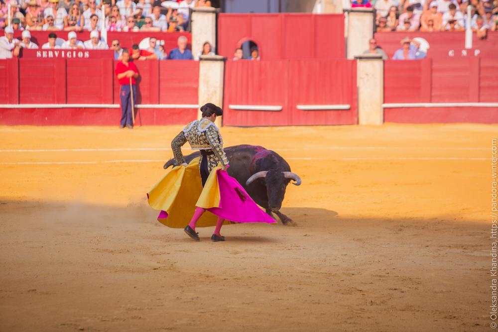 Taurina @ La plaza de La Malagueta, 2025-08-19 