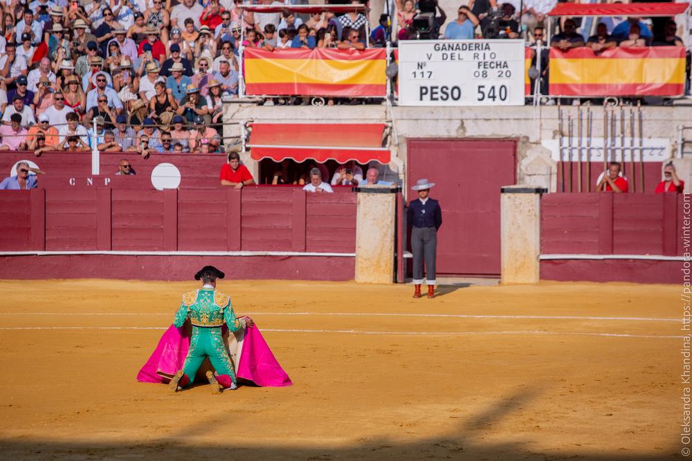 Taurina @ La plaza de La Malagueta, 2025-08-19 