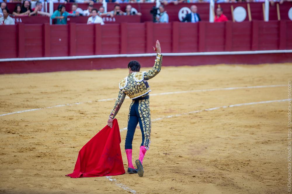 Taurina @ La plaza de La Malagueta, 2025-08-19 