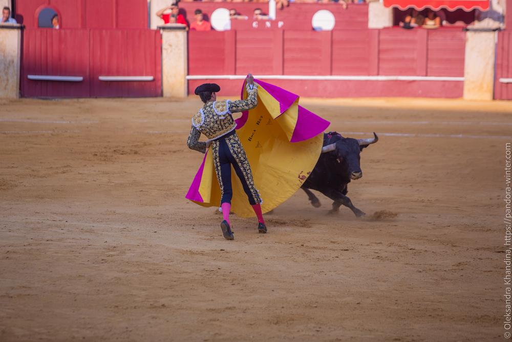 Taurina @ La plaza de La Malagueta, 2025-08-19 