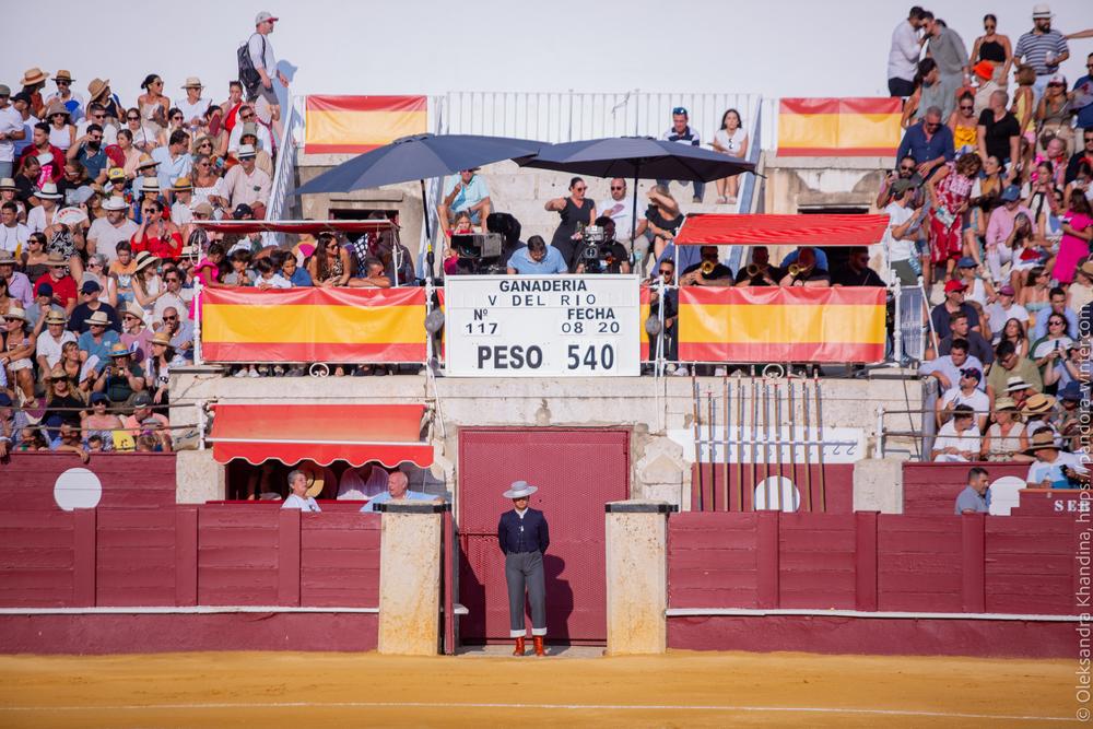 Taurina @ La plaza de La Malagueta, 2025-08-19 