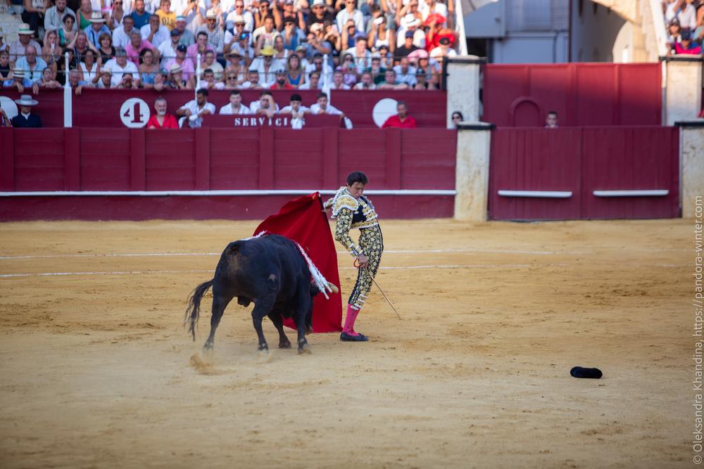 Taurina @ La plaza de La Malagueta, 2025-08-19 