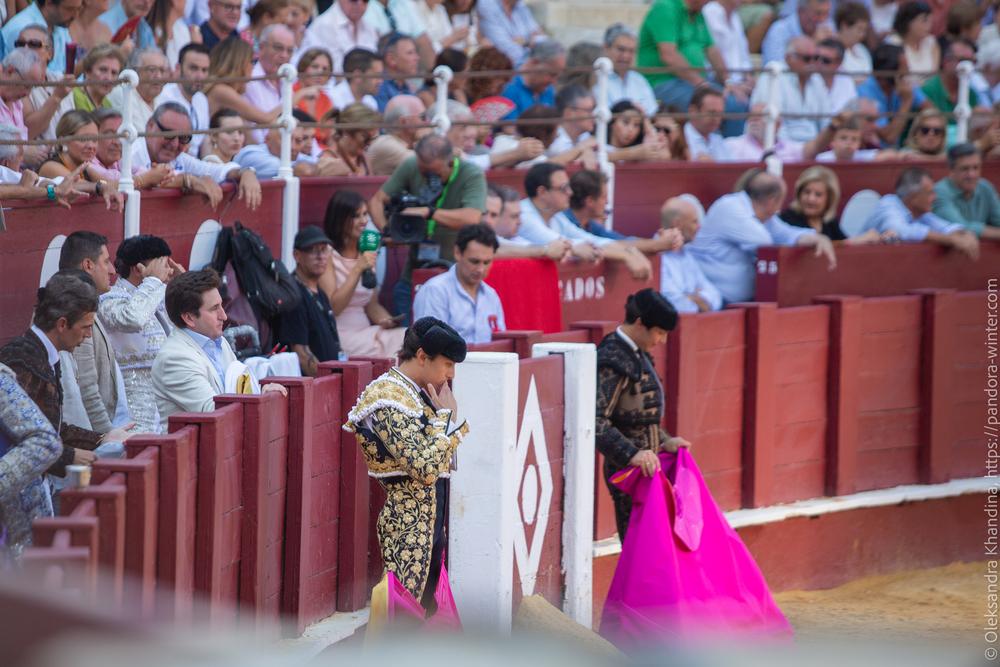 Taurina @ La plaza de La Malagueta, 2025-08-19 