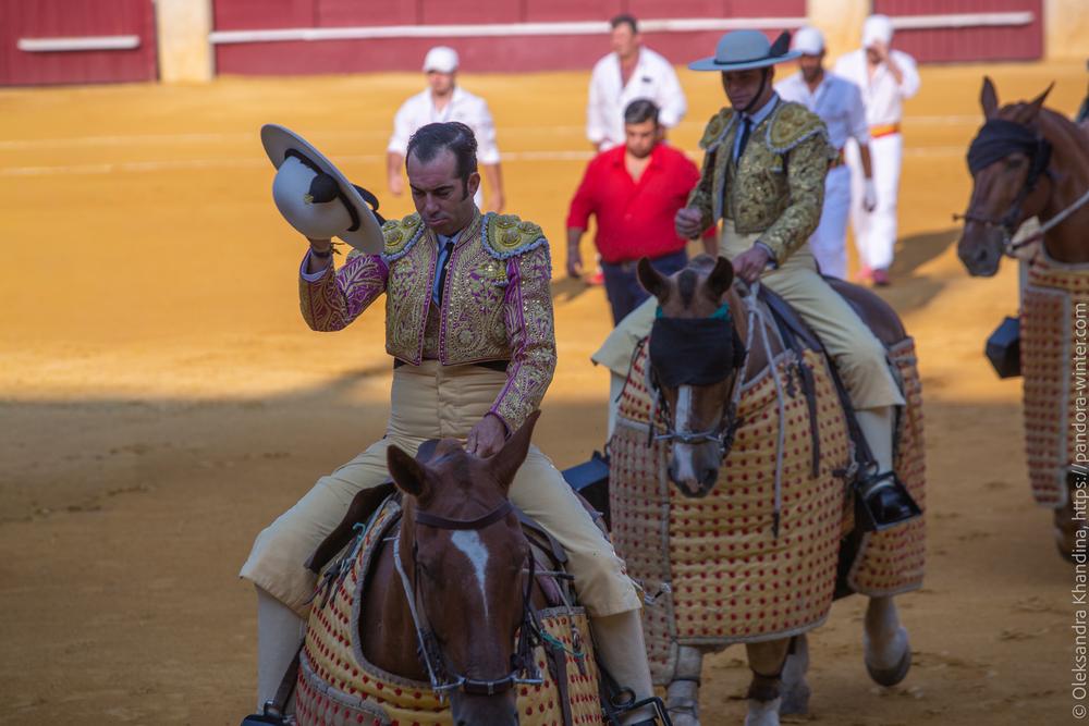 Taurina @ La plaza de La Malagueta, 2025-08-19 