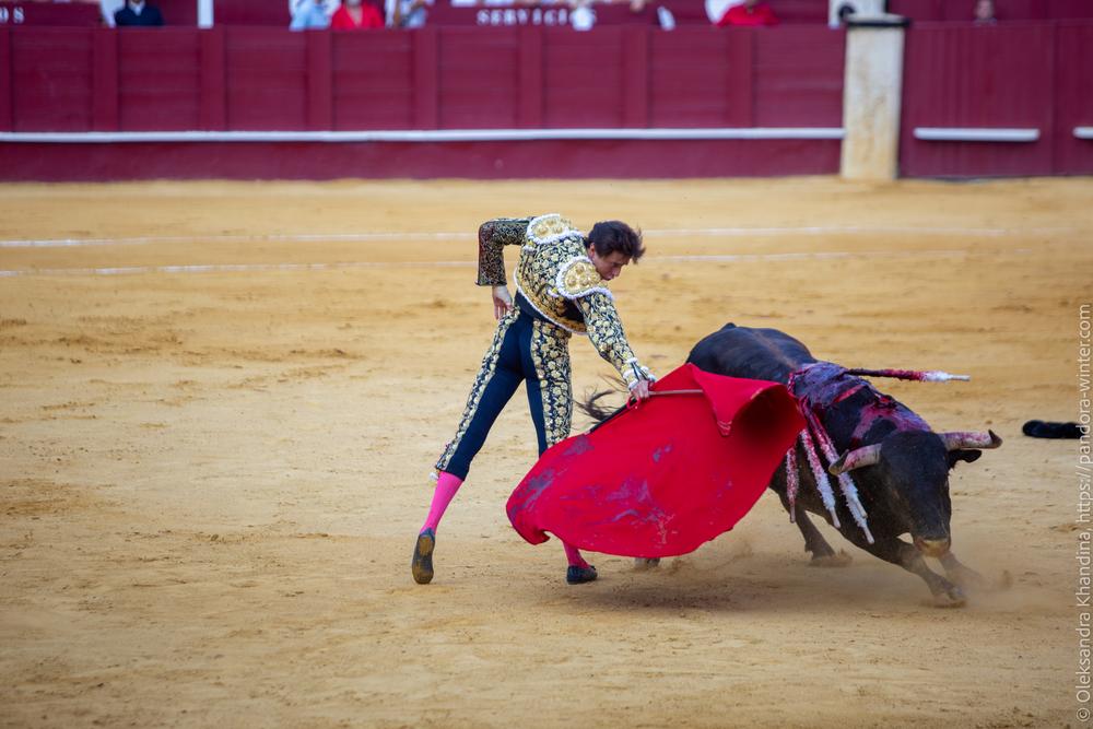 Taurina @ La plaza de La Malagueta, 2025-08-19 