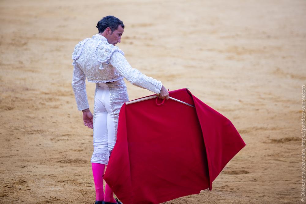 Taurina @ La plaza de La Malagueta, 2025-08-19 