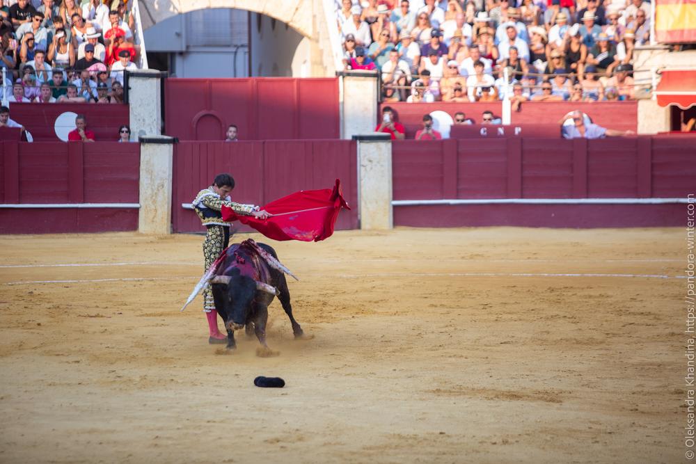 Taurina @ La plaza de La Malagueta, 2025-08-19 