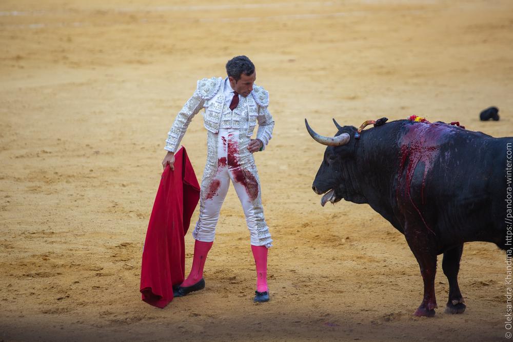Taurina @ La plaza de La Malagueta, 2025-08-19 