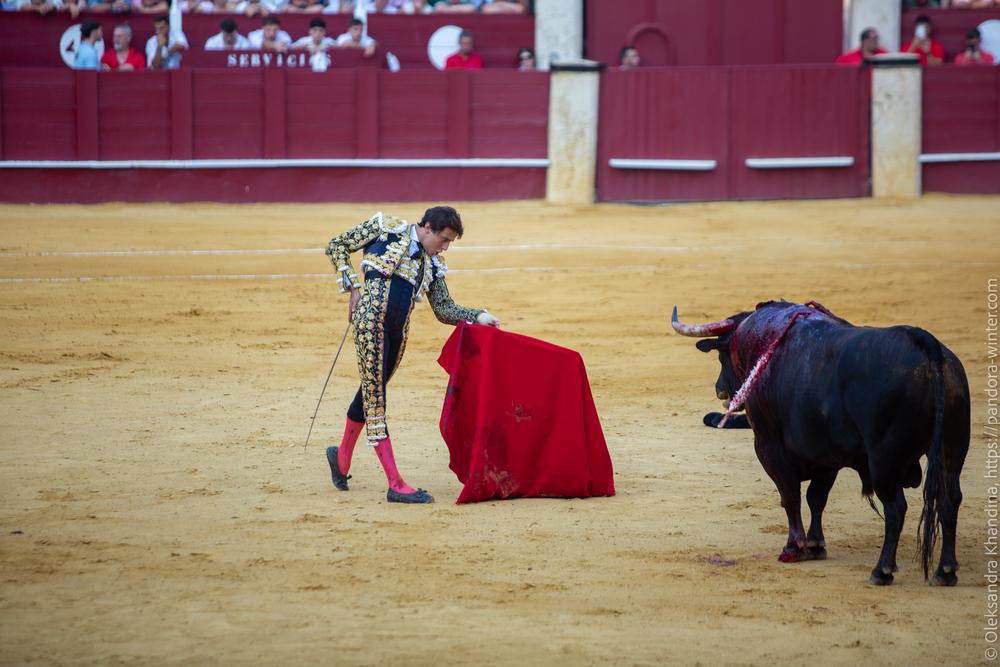 Taurina @ La plaza de La Malagueta, 2025-08-19 