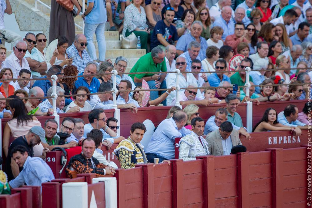 Taurina @ La plaza de La Malagueta, 2025-08-19 