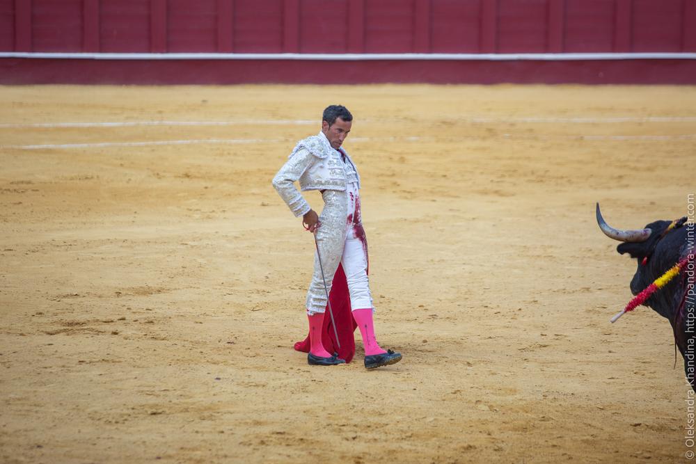 Taurina @ La plaza de La Malagueta, 2025-08-19 