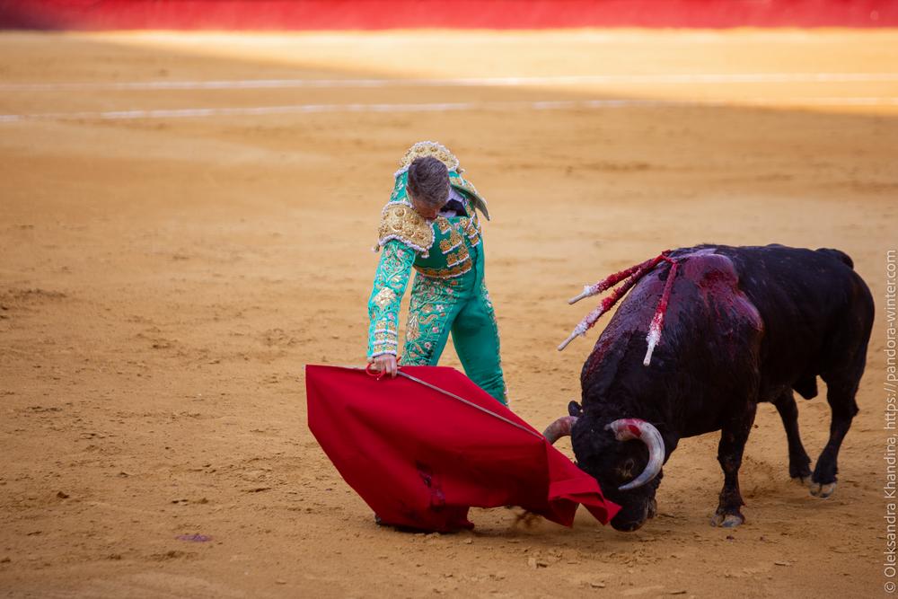 Taurina @ La plaza de La Malagueta, 2025-08-19 