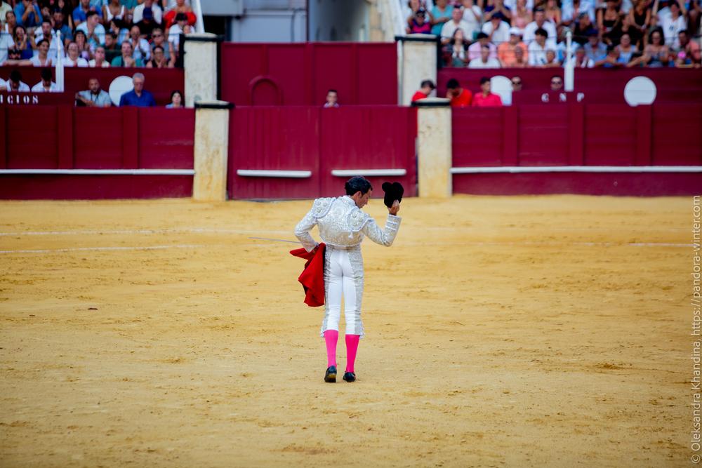 Taurina @ La plaza de La Malagueta, 2025-08-19 