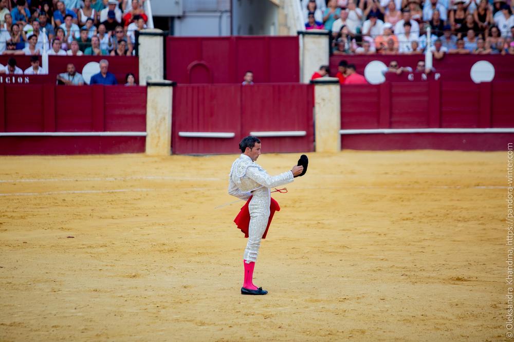 Taurina @ La plaza de La Malagueta, 2025-08-19 