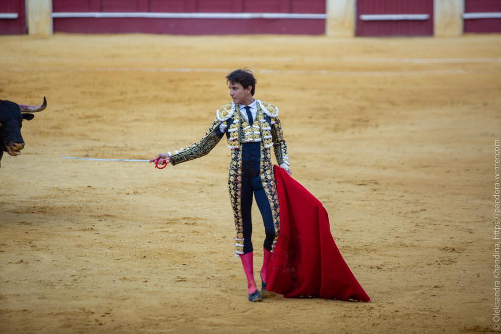 Taurina @ La plaza de La Malagueta, 2025-08-19 