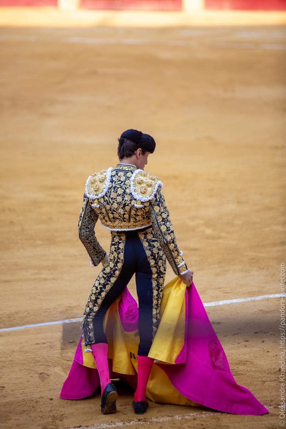 Taurina @ La plaza de La Malagueta, 2025-08-19 