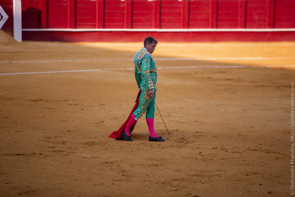 Taurina @ La plaza de La Malagueta, 2025-08-19 