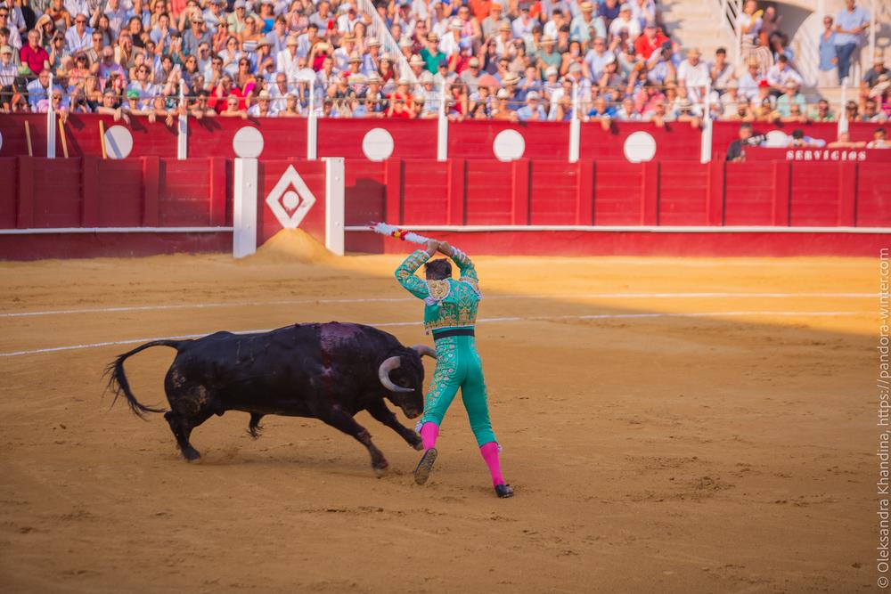 Taurina @ La plaza de La Malagueta, 2025-08-19 