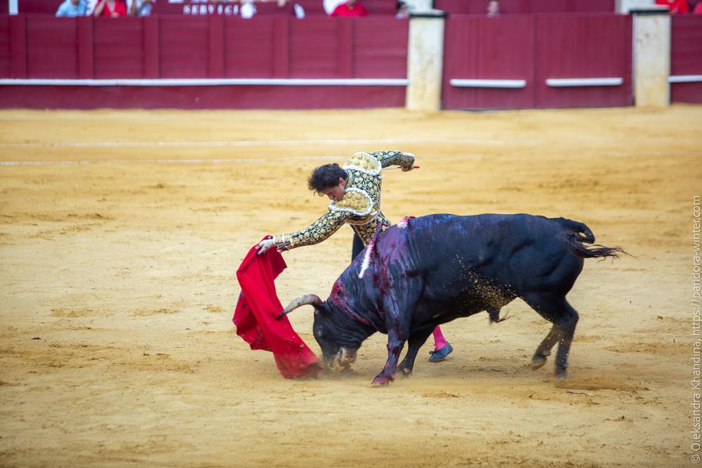 Taurina @ La plaza de La Malagueta, 2025-08-19 