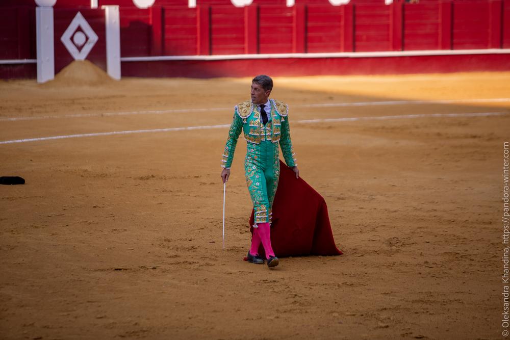 Taurina @ La plaza de La Malagueta, 2025-08-19 