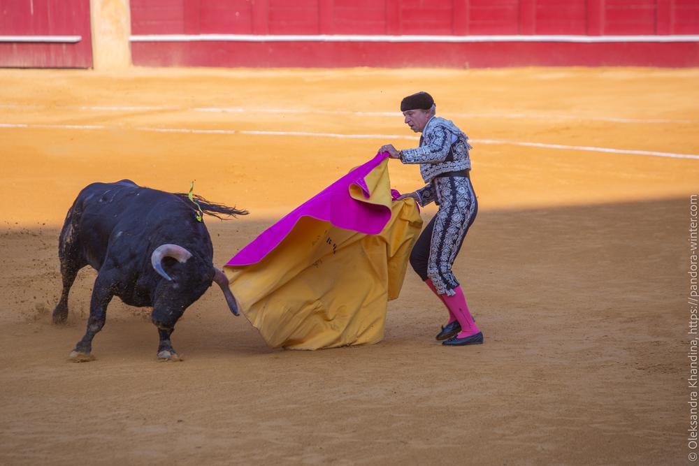 Taurina @ La plaza de La Malagueta, 2025-08-19 