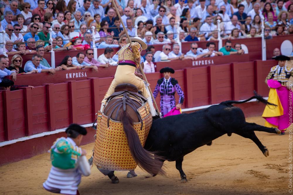 Taurina @ La plaza de La Malagueta, 2025-08-19 