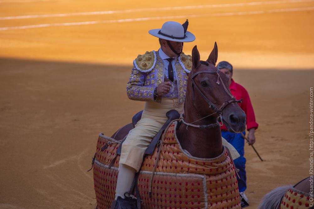 Taurina @ La plaza de La Malagueta, 2025-08-19 
