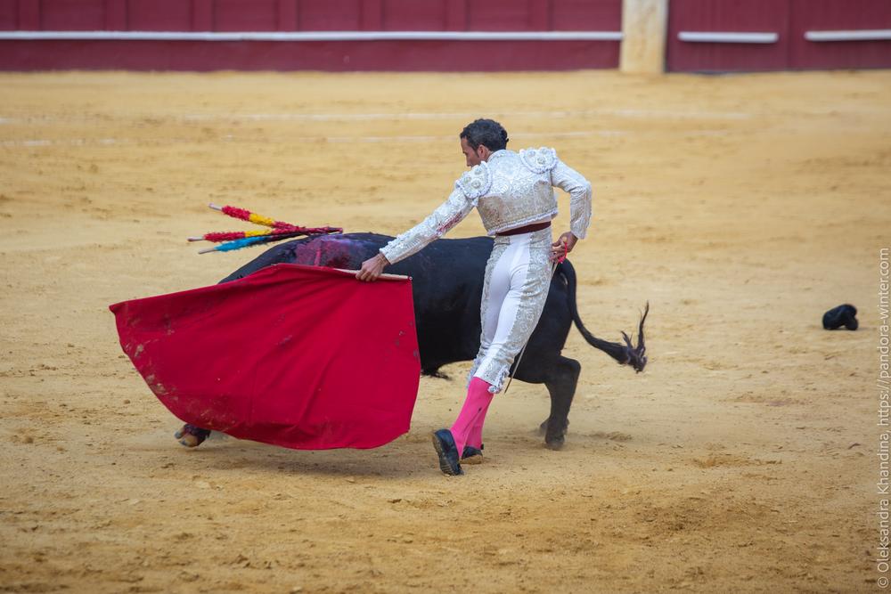 Taurina @ La plaza de La Malagueta, 2025-08-19 