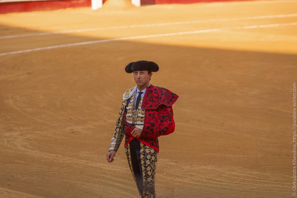 Taurina @ La plaza de La Malagueta, 2025-08-19 