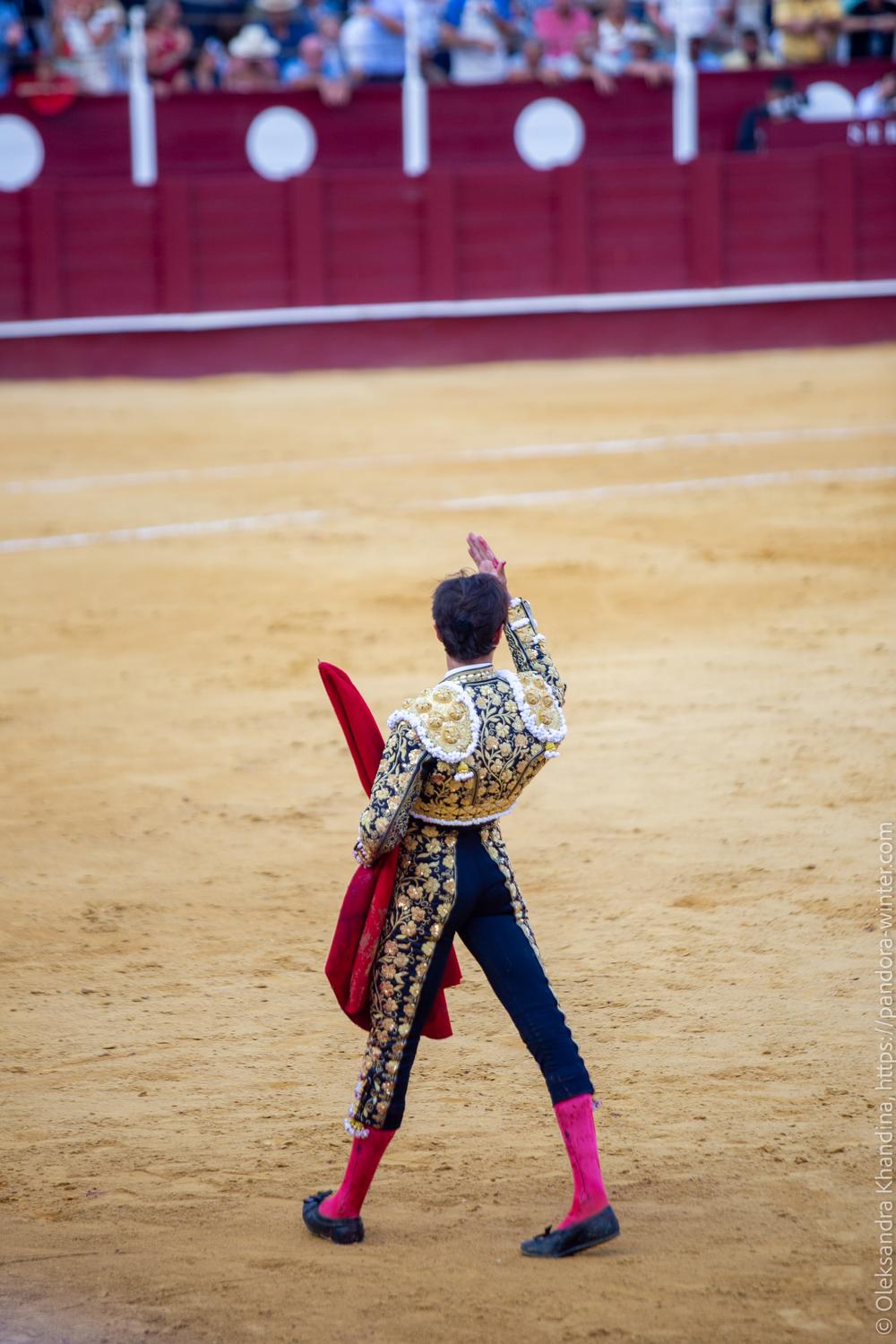 Taurina @ La plaza de La Malagueta, 2025-08-19 