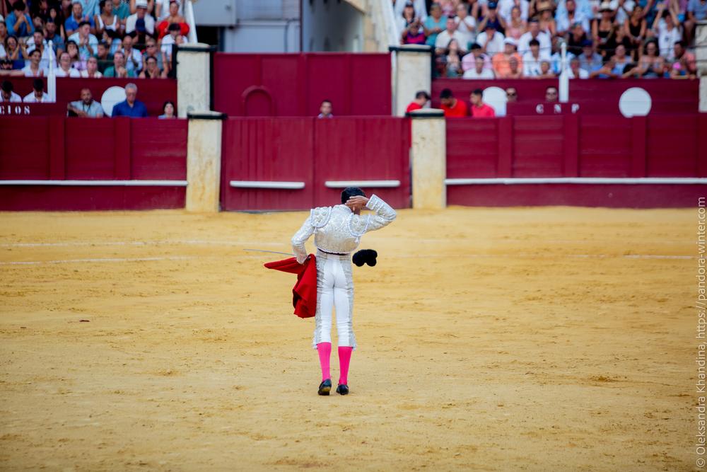 Taurina @ La plaza de La Malagueta, 2025-08-19 