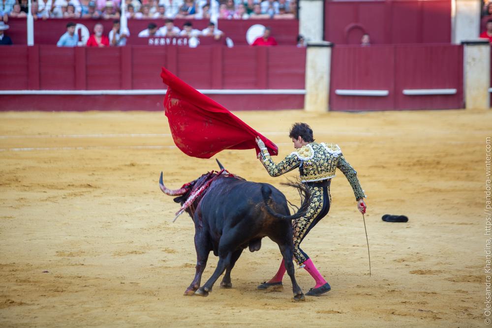 Taurina @ La plaza de La Malagueta, 2025-08-19 