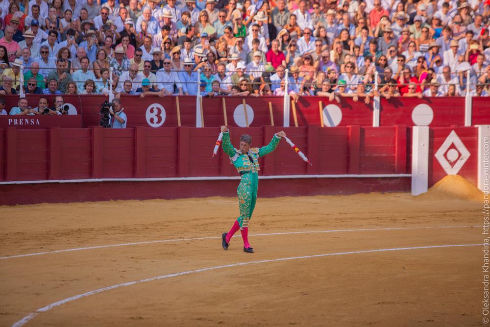 Taurina @ La plaza de La Malagueta, 2025-08-19 