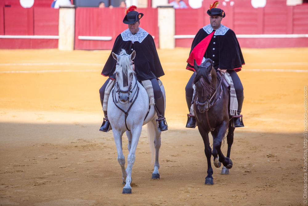 Taurina @ La plaza de La Malagueta, 2025-08-19 