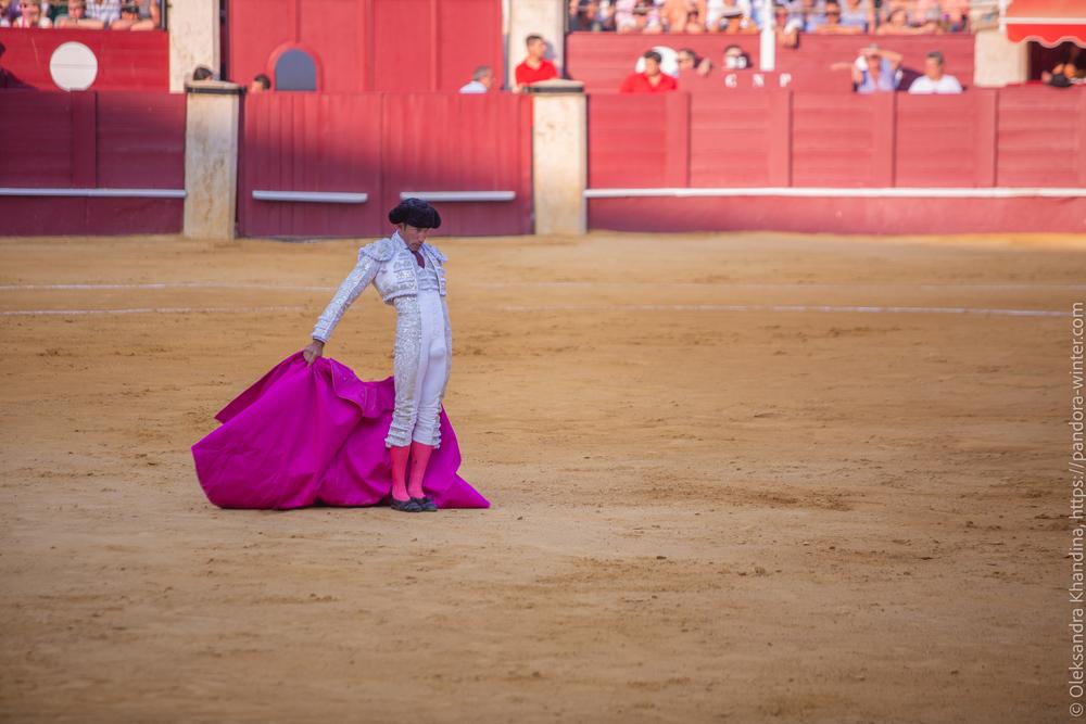 Taurina @ La plaza de La Malagueta, 2025-08-19 
