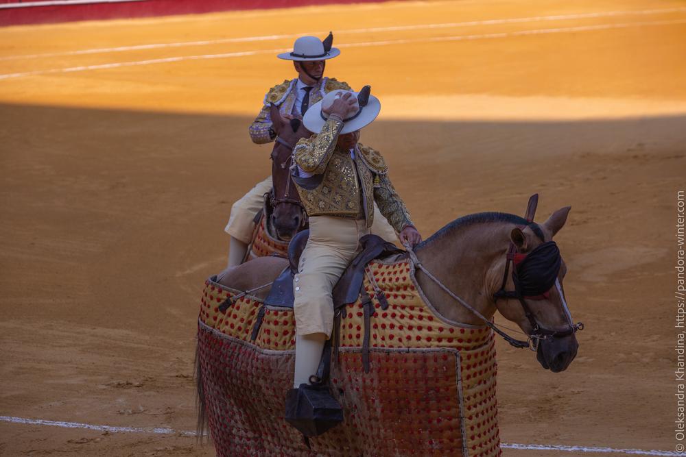 Taurina @ La plaza de La Malagueta, 2025-08-19 