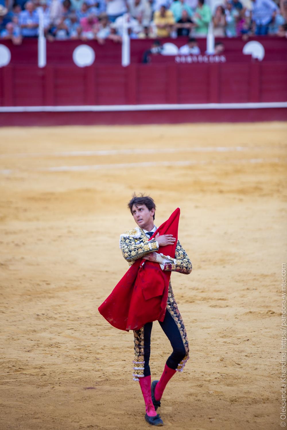 Taurina @ La plaza de La Malagueta, 2025-08-19 