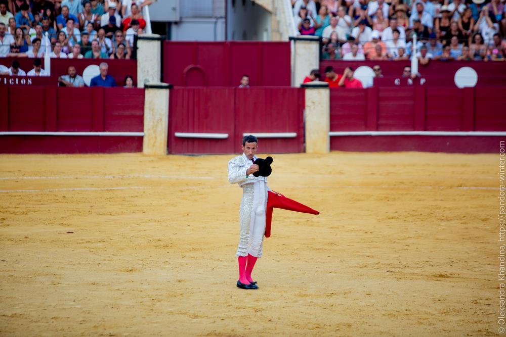 Taurina @ La plaza de La Malagueta, 2025-08-19 