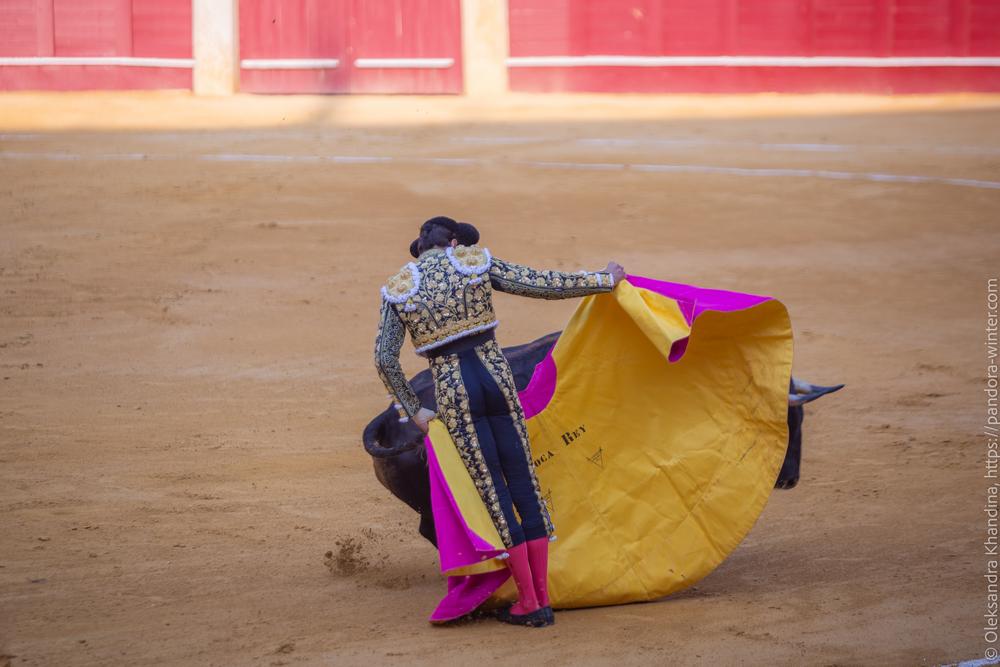 Taurina @ La plaza de La Malagueta, 2025-08-19 