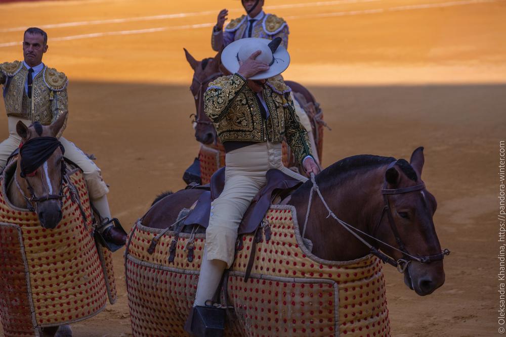 Taurina @ La plaza de La Malagueta, 2025-08-19 