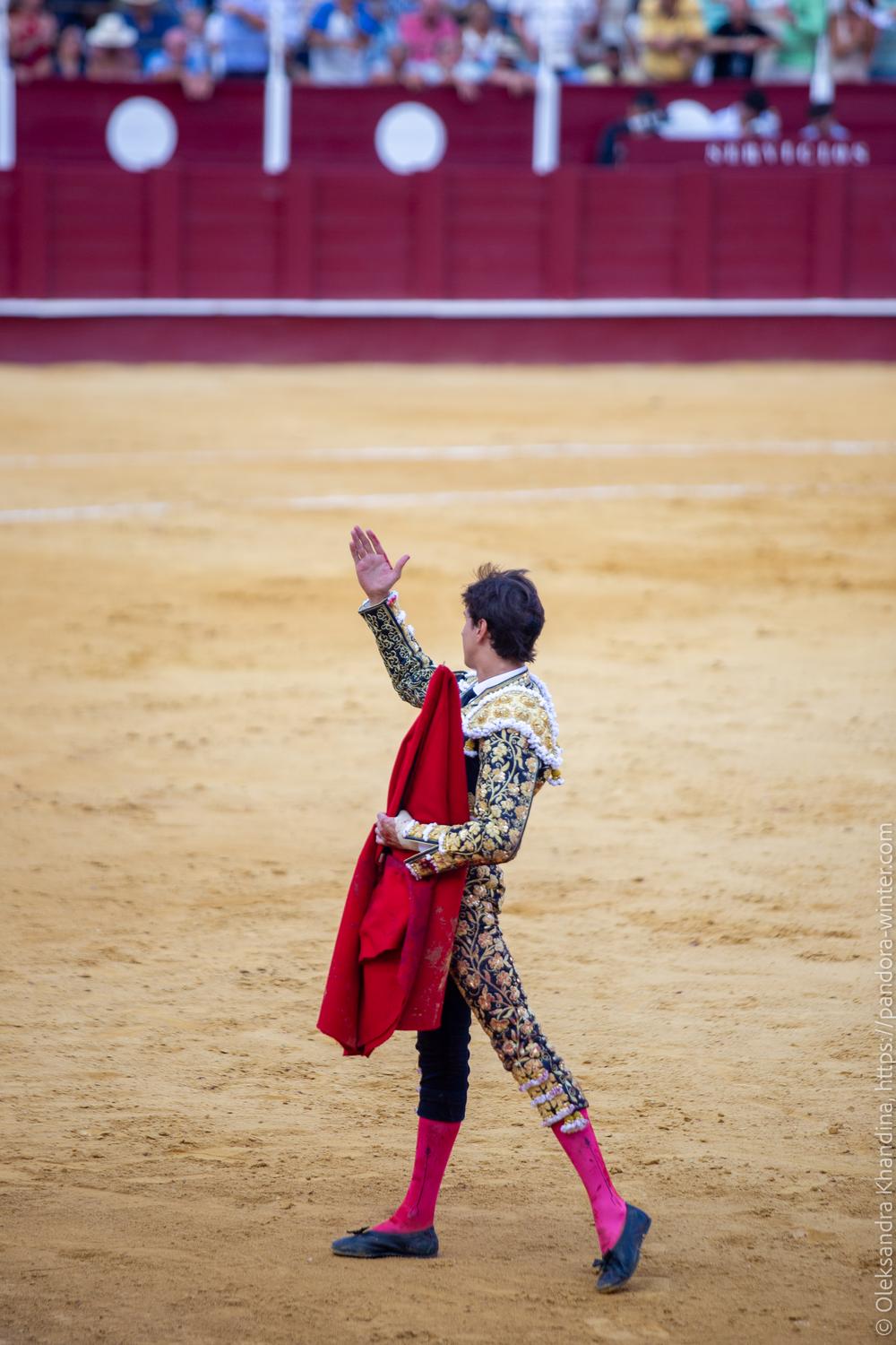 Taurina @ La plaza de La Malagueta, 2025-08-19 