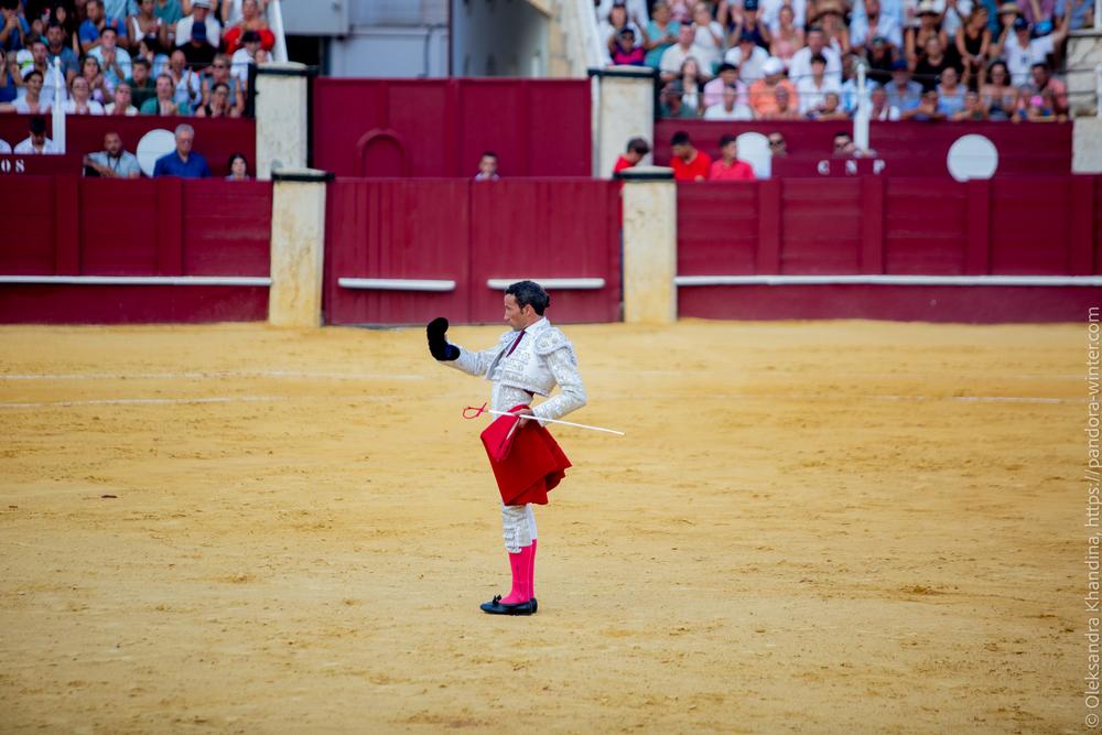 Taurina @ La plaza de La Malagueta, 2025-08-19 