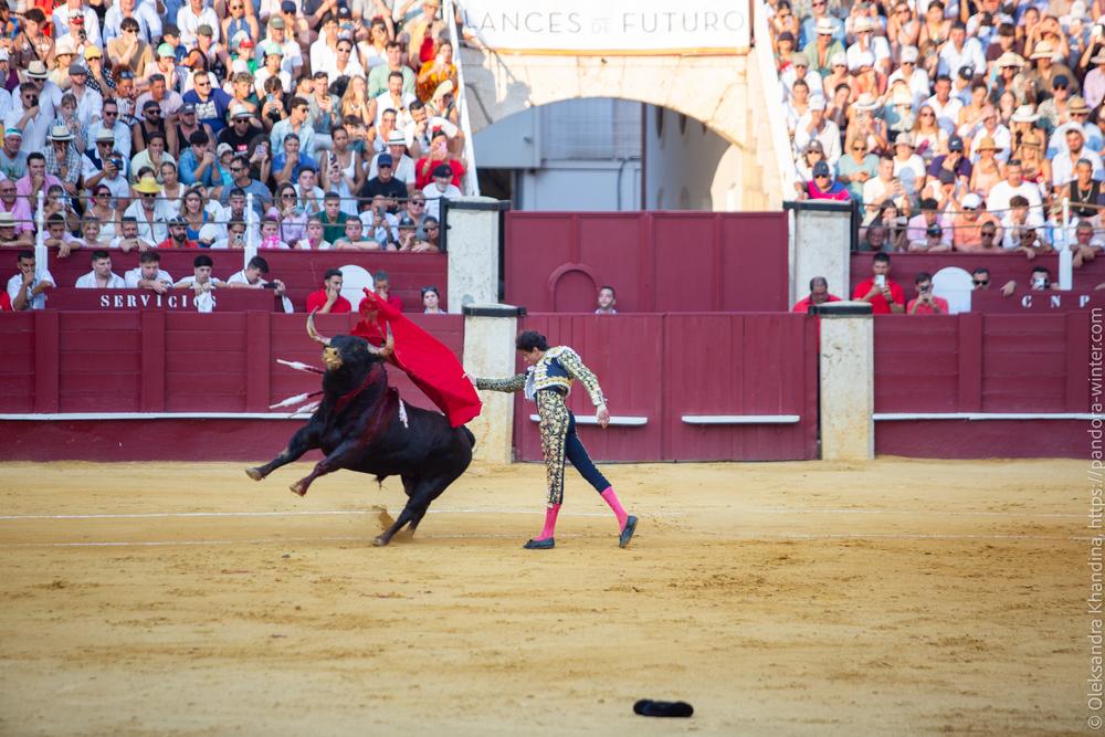 Taurina @ La plaza de La Malagueta, 2025-08-19 