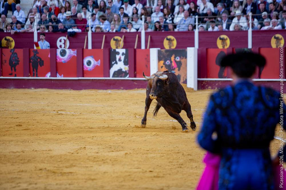 Corrida Picassiana 2026 @ Málaga, 04-04-2025