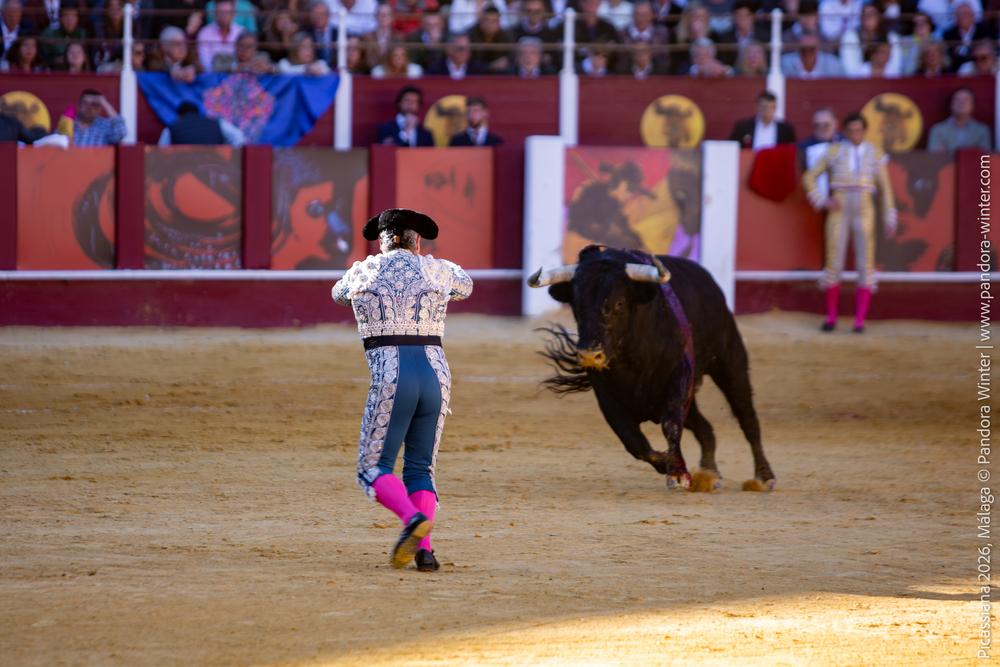Corrida Picassiana 2026 @ Málaga, 04-04-2025
